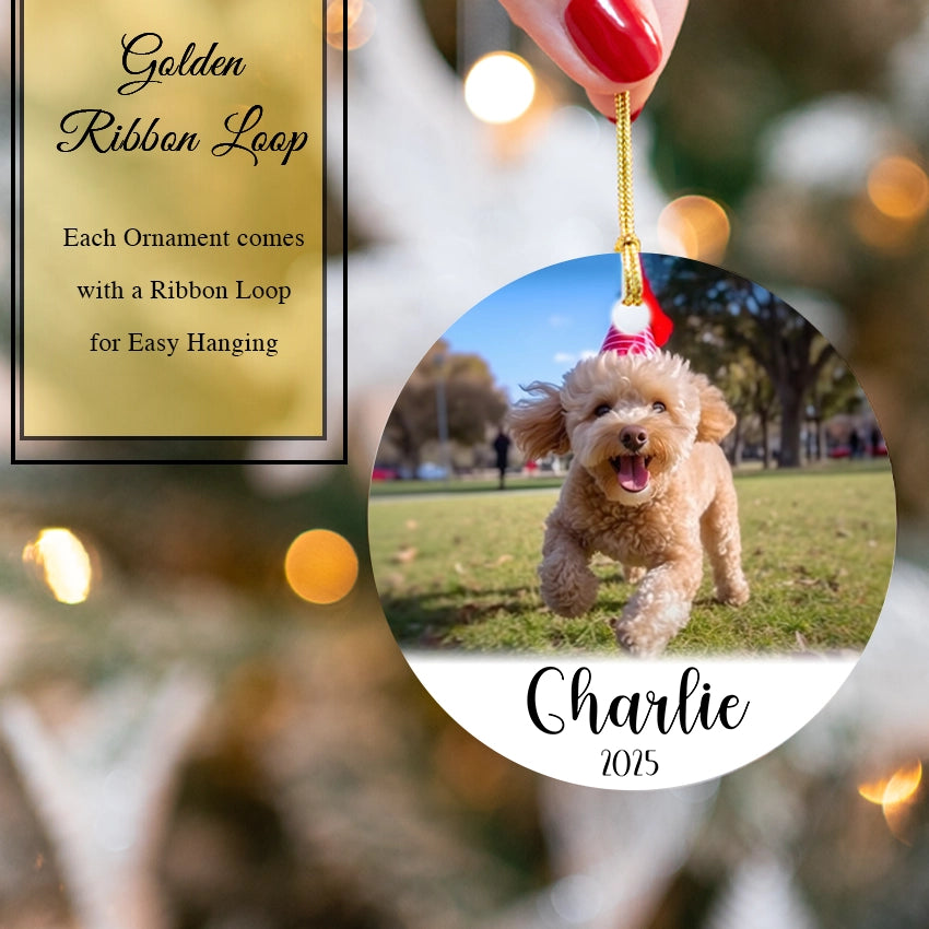 Dog ornament with 'Charlie 2025' on a blurred outdoor background