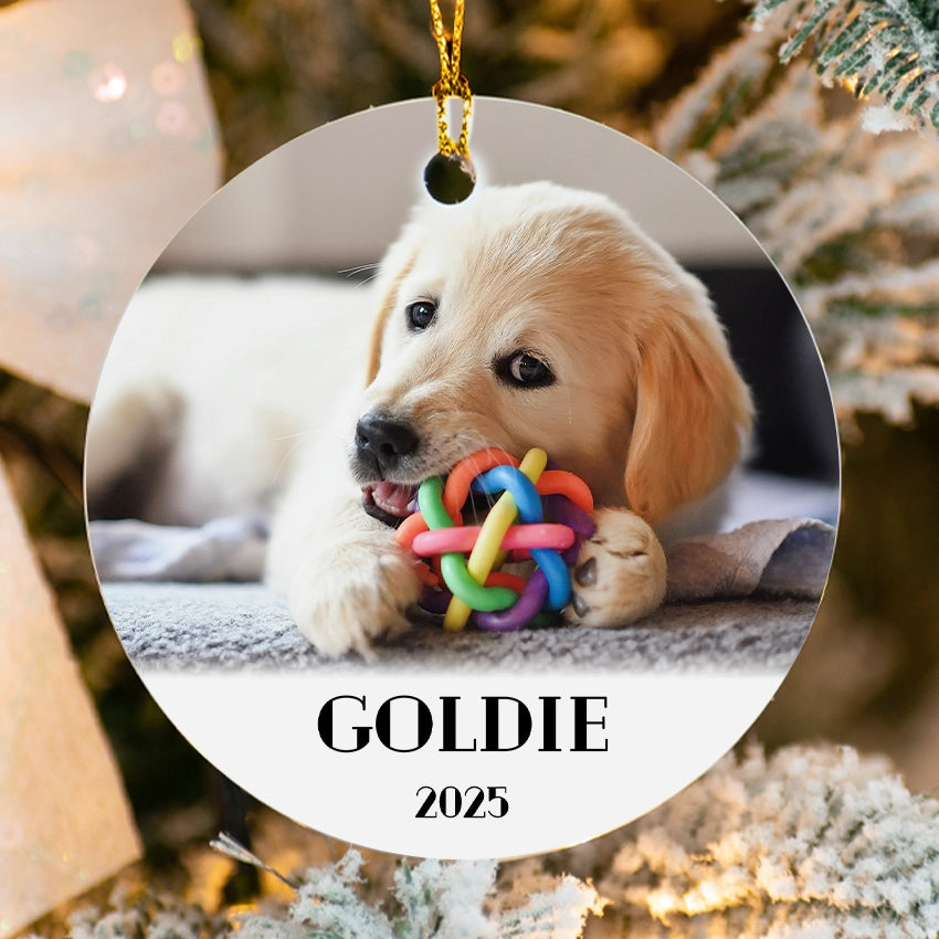 Decorative pet photo ornament with a puppy holding a colorful toy, set against a festive background.