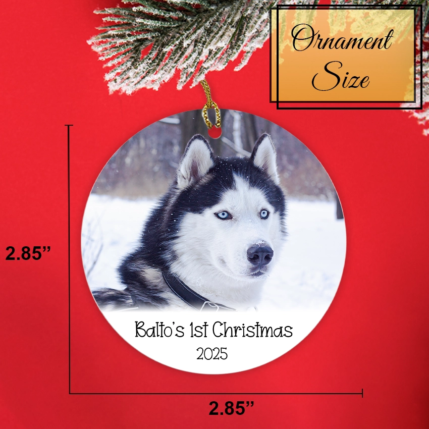 Photo Christmas ornament with a dog's face, labeled 'Balto's 1st Christmas 2025', on a red background with measurements.