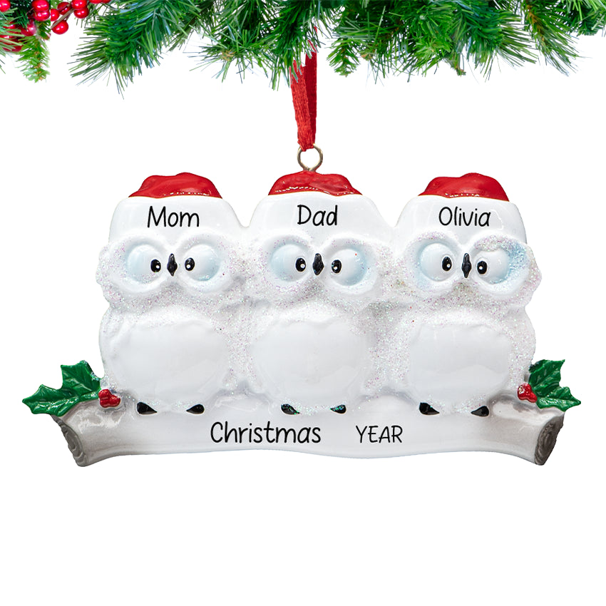 Personalized Wise Owl family of 3 Christmas Tree ornament with three custom names