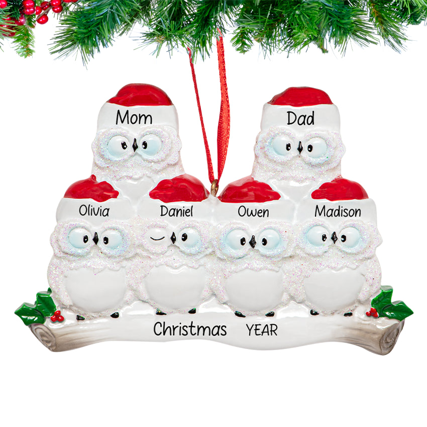Personalized Wise Owl Family of 6 Christmas Ornament 2025