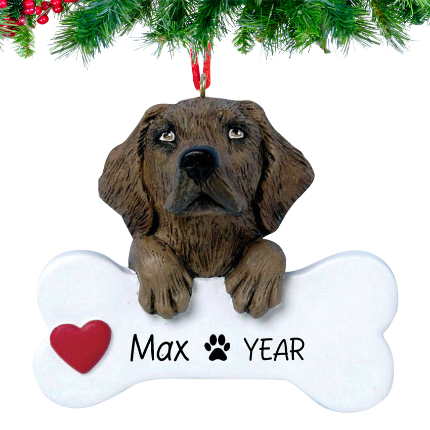 Smiling Chocolate Labrador i holding a bone nameplate, personalized with dog’s name and Year, hanging on a festive Christmas tree branch.