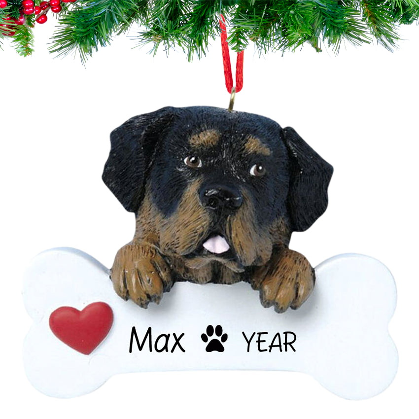 Smiling Rottweiler holding a bone nameplate, personalized with dog’s name and 2025, hanging on a festive Christmas tree branch.
