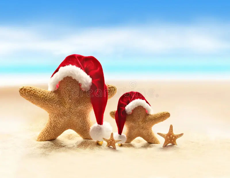 Embracing a Summer Christmas: Celebrating the Holidays Under the Sun