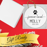 Personalized pet ornament with gift box and ribbon.