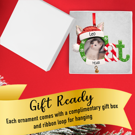 Custom Cat Photo Frame Christmas Ornament