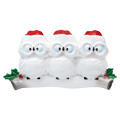 Personalized Wise Owl Family of 3 Christmas Tree Ornament