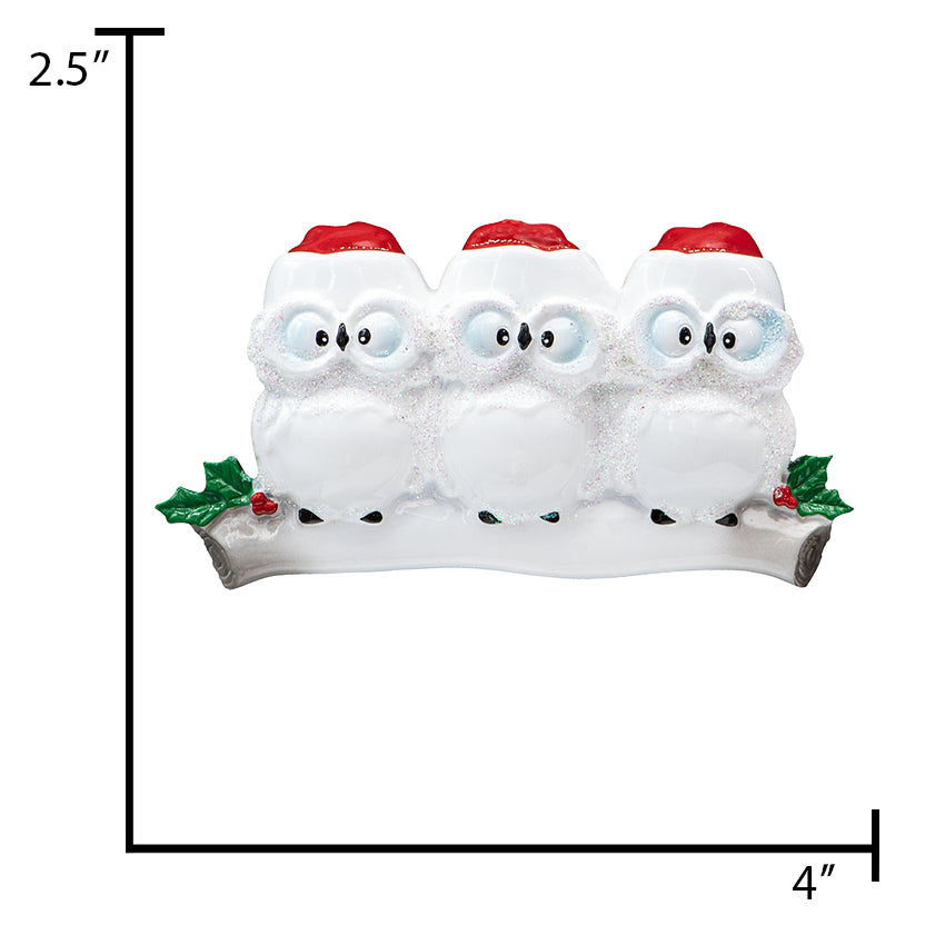 Personalized Wise Owl Family of 3 Christmas Tree Ornament