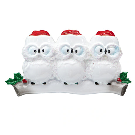 Christmas ornament family of 3 featuring three engraved owls on a snowy branch