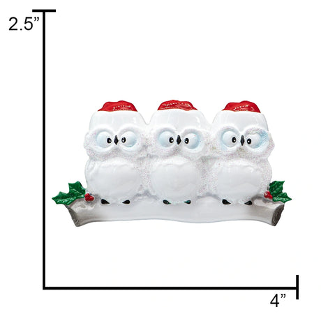 Custom family of 3 personalized ornaments in Wise Owl design for holiday décor
