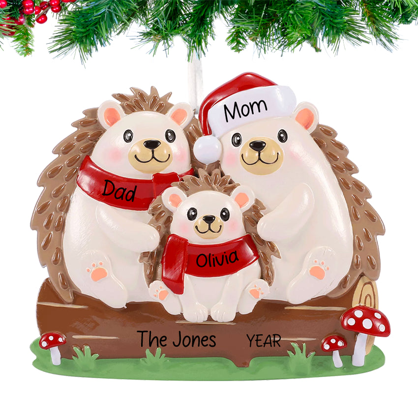 Personalized Hedgehog Family of 3 People Christmas Ornament